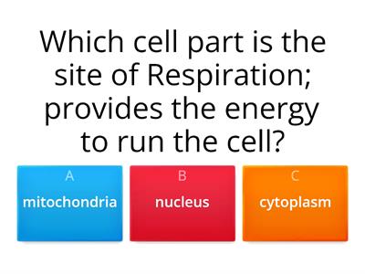 Cell Organelles and Cell Structure