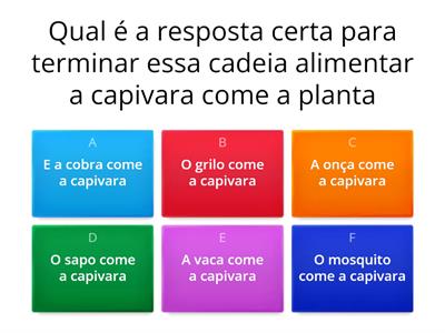 quiz sobre cadeia alimentar