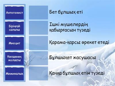 8 сынып Бұлшық ет құрлысы