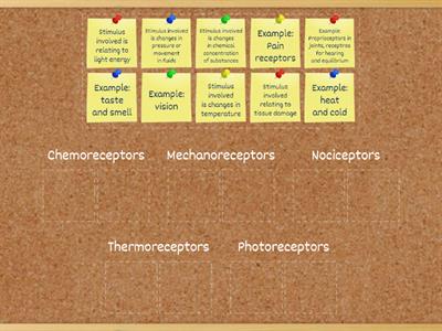 C09. Senses - Receptors & Stimulus