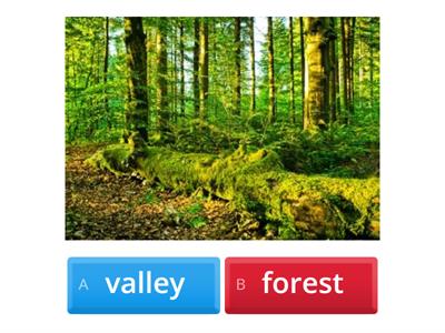 Geographical features