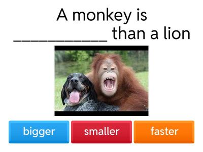 Short Comparative with animals