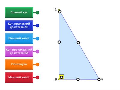 Прямокутний трикутник (7 клас)