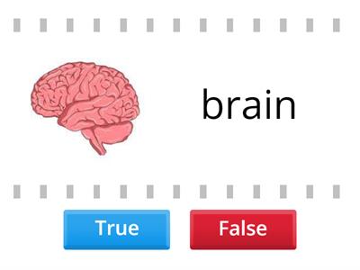 K2 Science : Choose true or false 19-11-2021