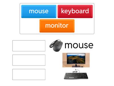 Digital Literacy Skills