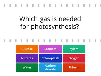 Photosynthesis