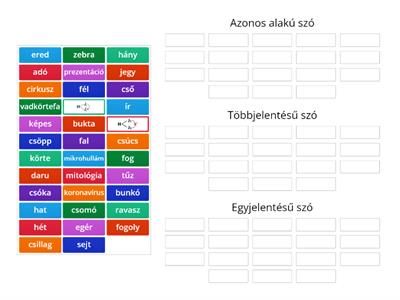 Többjelentésű vagy azonos alakú szavak? (S. Rebi és H. Peti gyűjtéséből:)) 