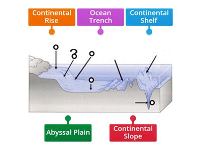 Ocean Floor Features