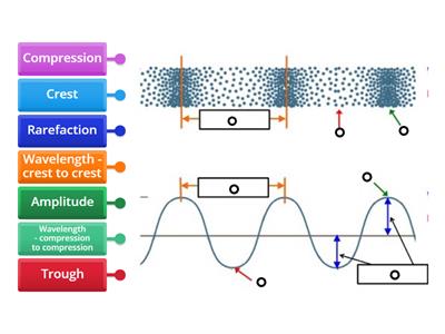 Longitudinal waves and waveform