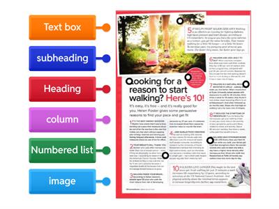  Article  - Organisational (layout) Features