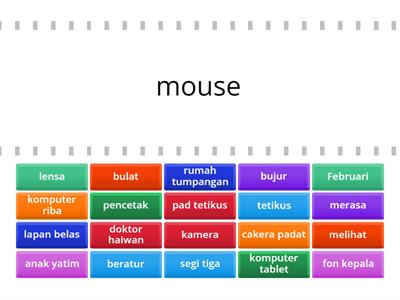 Unit 3-4 MSP Vocabulary