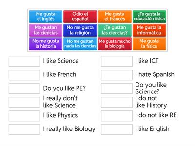 Subjects and Opinions Y7