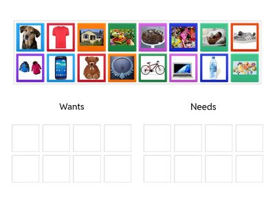Needs and Wants
