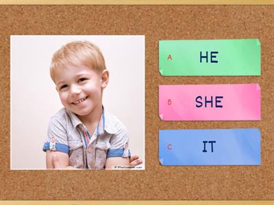 Personal Pronouns 