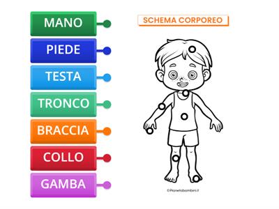 SCHEMA CORPOREO