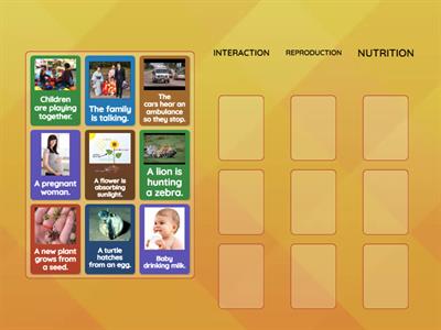 Three vital functions