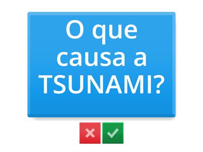  SUBJECT/OBJECT QUESTION - D1MOD2