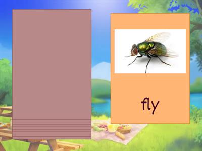 Vocabulary practice, vision