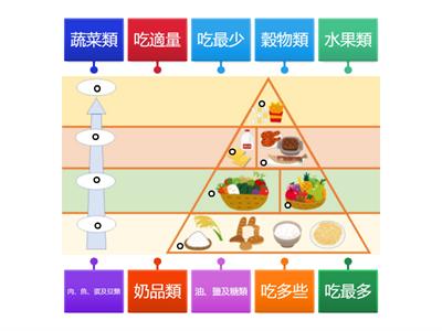 健康飲食金字塔