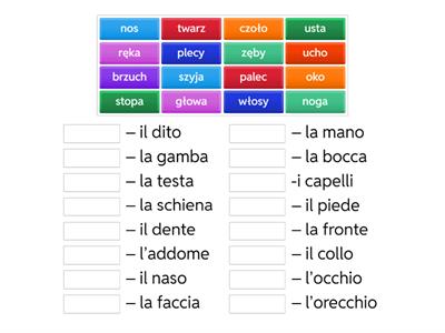 Le parti del corpo (części ciała)