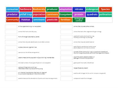 S3 key term revision (Life on earth)