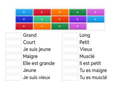 CE2/CM1 - Les adjectifs en anglais à l'oral
