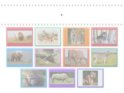 What´s the correct name of the animal?