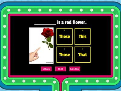 Demonstrative Pronouns