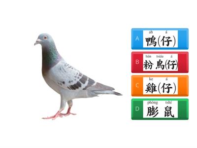 閩南語第三冊第三課