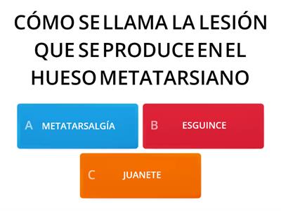 ANATOMÍA APLICADA A LA DANZA 5TO A Y B SEGUNDO QUIMESTRE