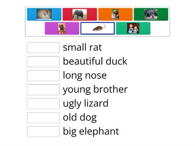 Super minds 1 adjectives+pets