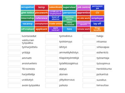 Theme vocabulary: Working life