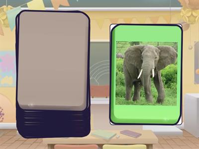 English File pre-intermediate - Unit 9A - Animals