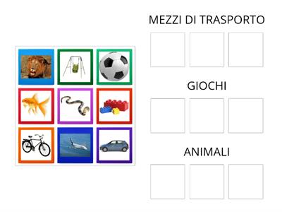 CATEGORIE (mezzi di trasporto, giochi e animali)