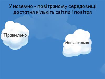 Наземно - повітряне середовище