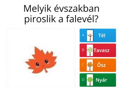 Melyik évszakra jellemző?