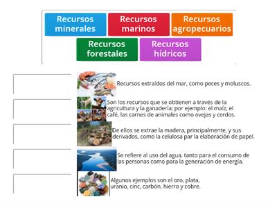 Tipos de recursos naturales