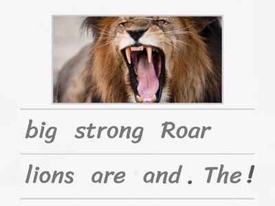 Ordena la oración en ingles