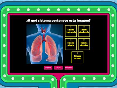 Sistema del cuerpo humano