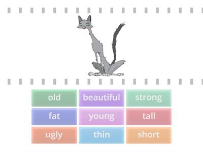 Adjectives- Description 