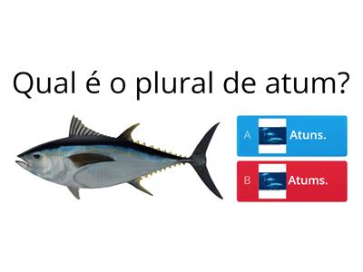 Plural dos nomes