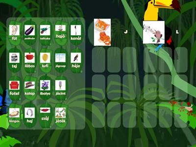 Hallási differenciálás: L-J