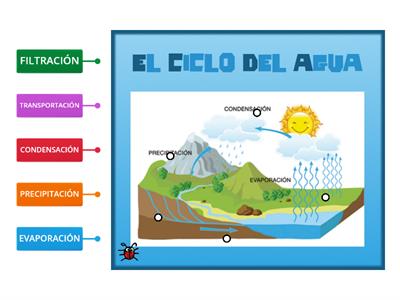 EL CICLO DEL AGUA