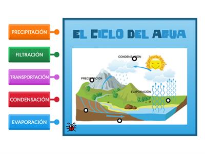 EL CICLO DEL AGUA