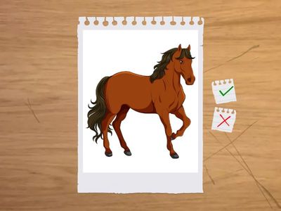 ANIMALS - UNIT 4 - LWU 2