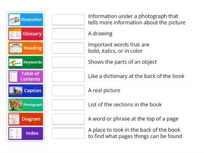 Nonfiction Text Features