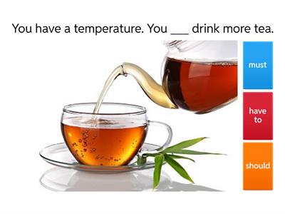  Must / have to / should 