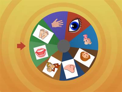 Las partes del cuerpo (дошкольники)