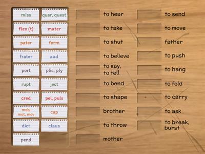 Latin bases part 1 (IMSE)
