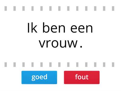 Zijn de zinnen goed of fout? (hebben/zijn)